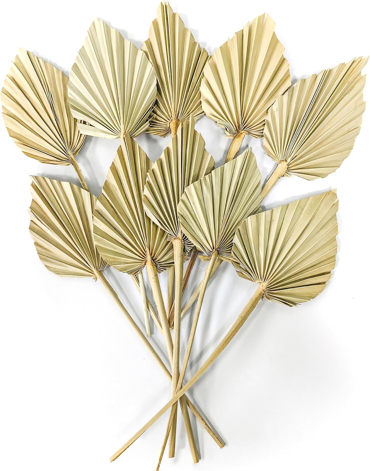 Comtelek Dried Palm Leaves 10pcs Boho Decor