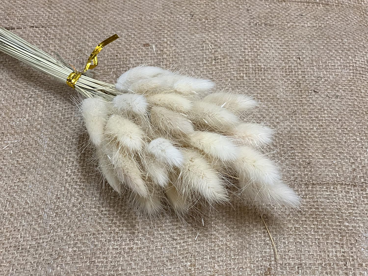 25 Inch 100 Pcs Ivory Dried Bunny Tail Artificial Flowers