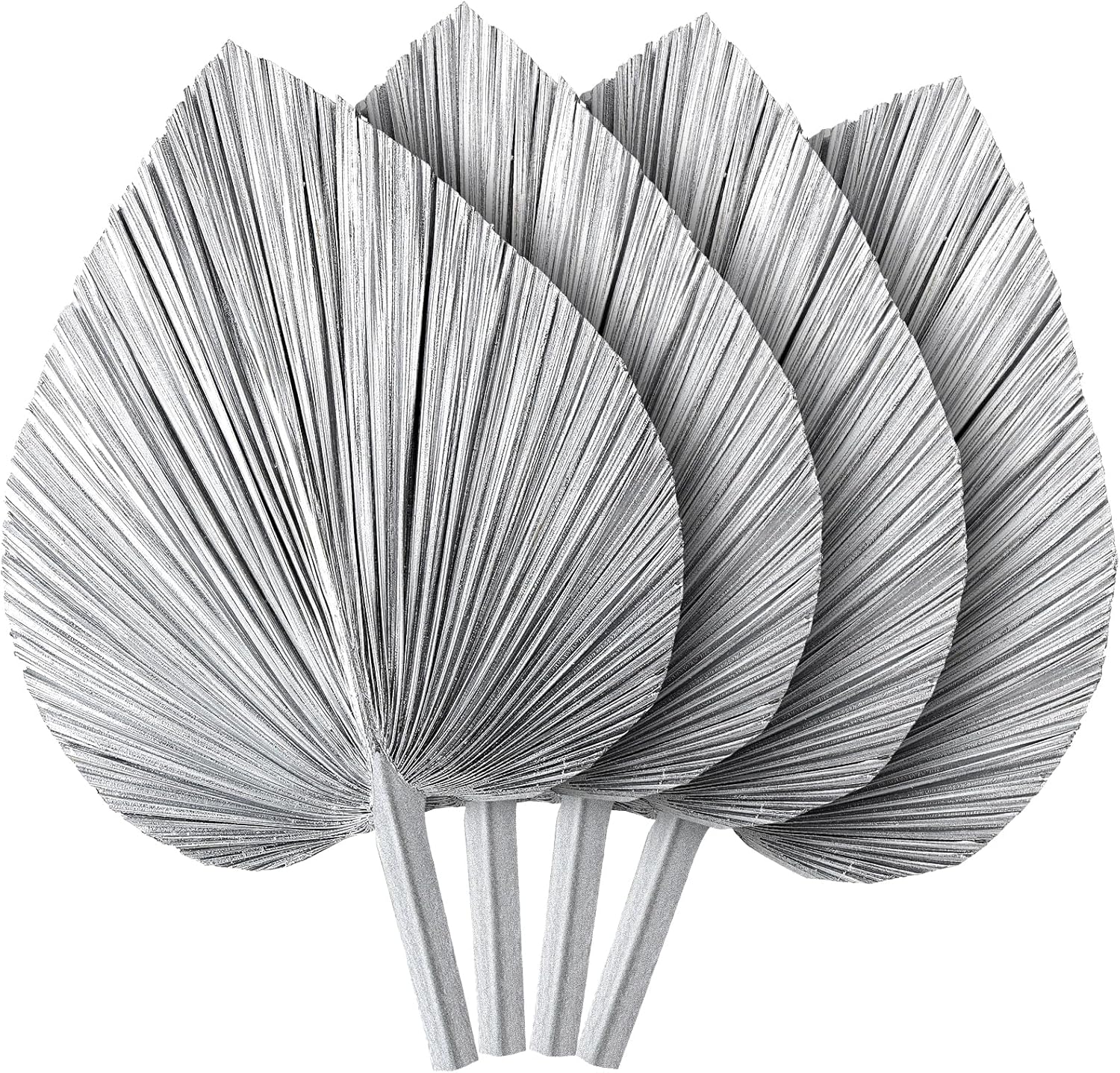 4 Pcs Large Silver Dried Palm Leaves Boho Decor