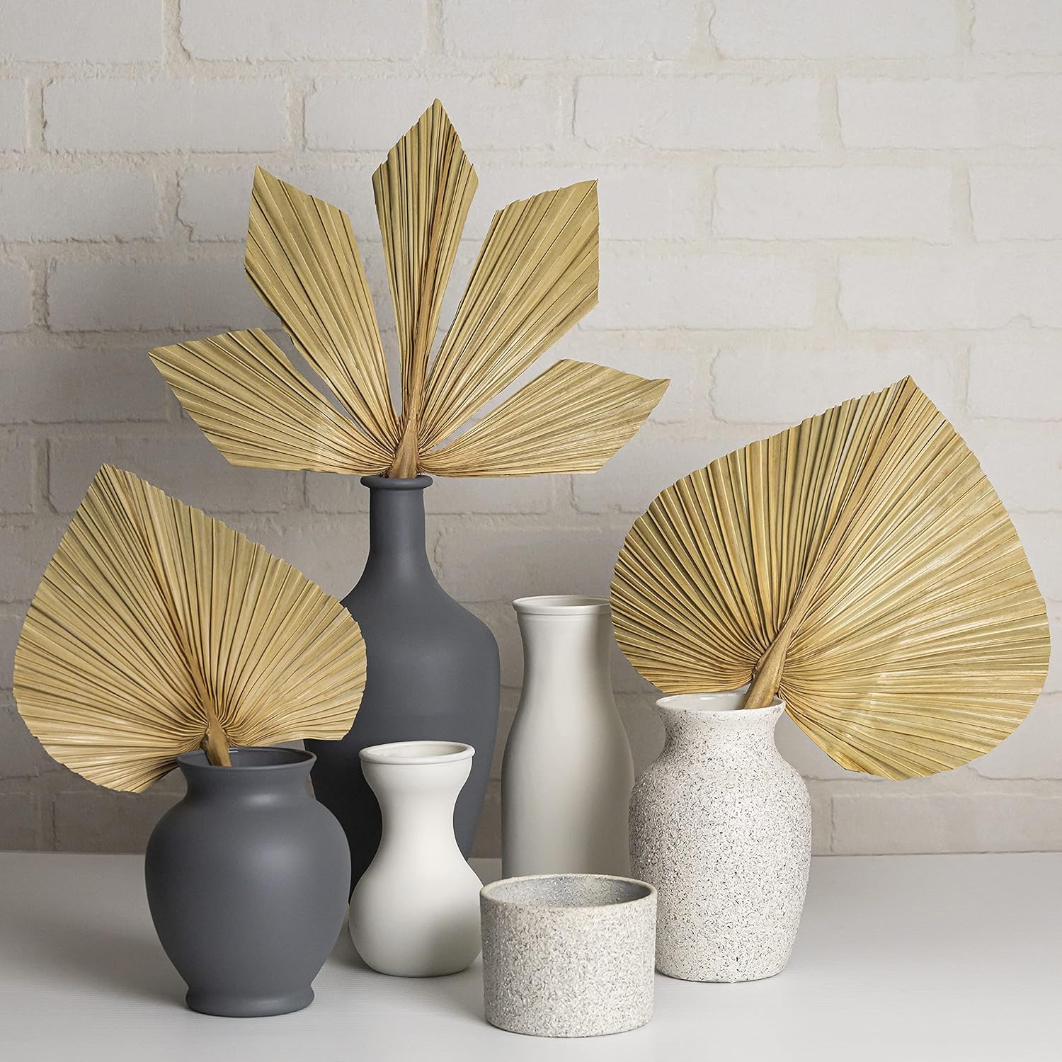 6pcs Natural Trimmed Dried Palm Leaves for Decor