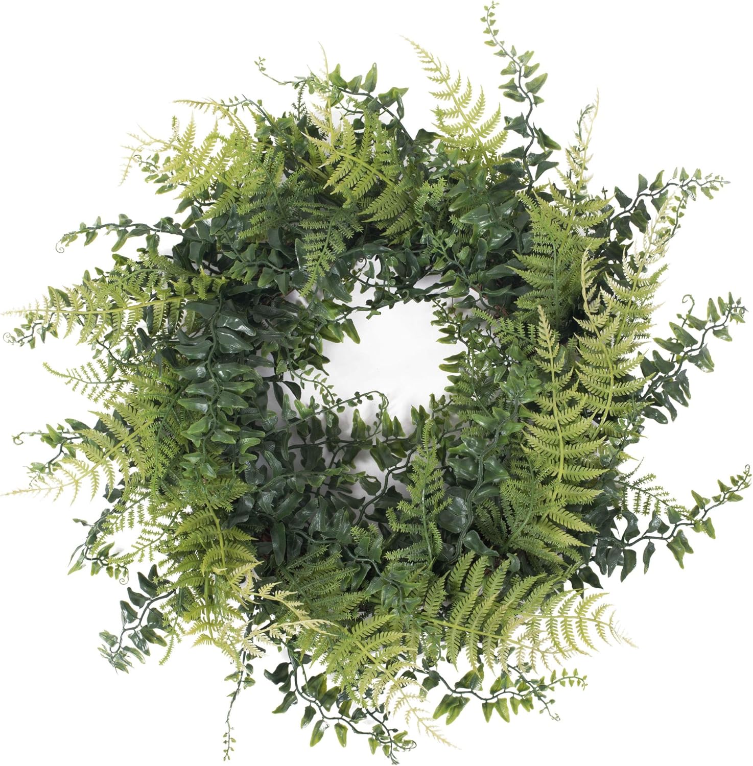 Vickerman 18 Inch Artificial Green Buckler Fern Wreath