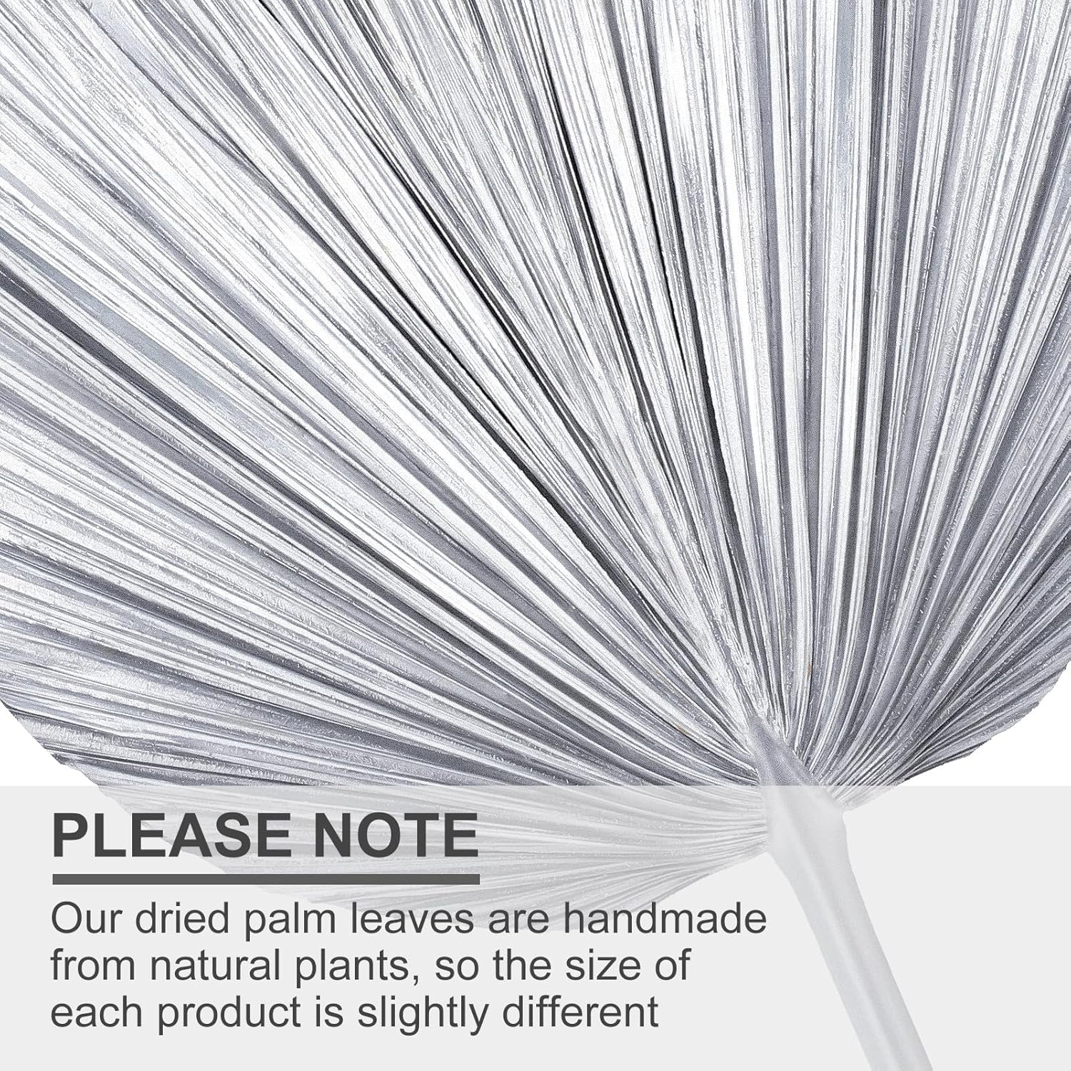 4 Pcs Large Silver Dried Palm Leaves Boho Decor