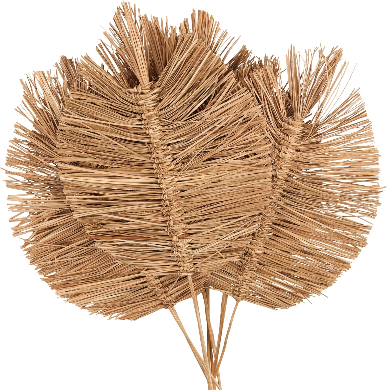 Deco 79 Dried Brown Foliage Decor Natural Twigs