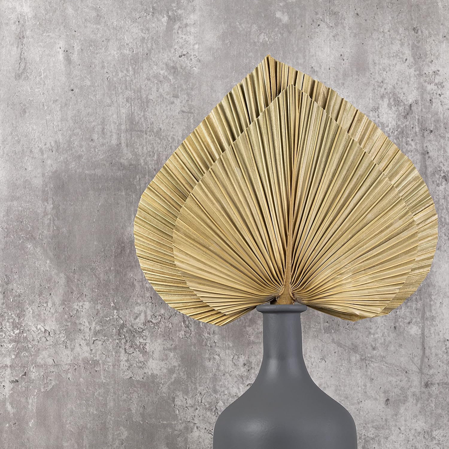 6pcs Natural Trimmed Dried Palm Leaves for Decor